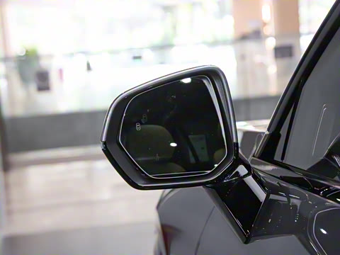 2025�� 2.0TD EM-P ����Max ����