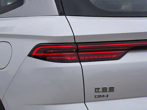 2023�� �ھ��� DM-i 110KM��Խ��