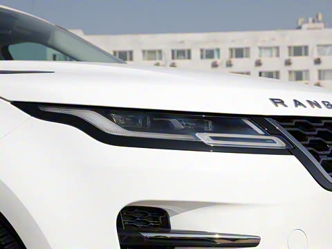 2022�� ����L P300e ���ʽ�綯��ϰ�