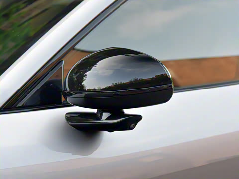 2025�� ������������������Max��