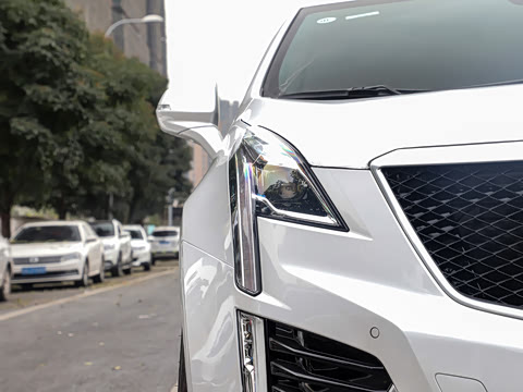 2021�� 28T ���������˶���