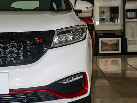 2021�� ���ǰ� 1.5T �Զ�������