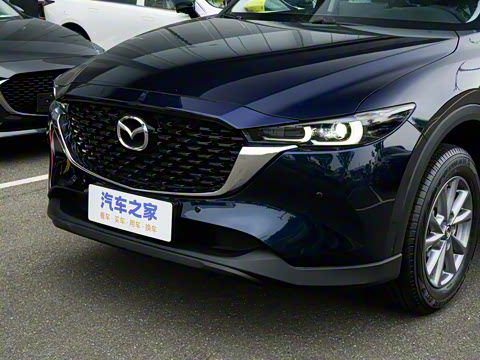 2025�� 2.0L �Զ�����������