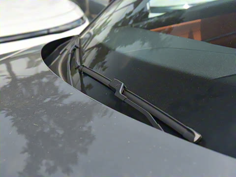 2025�� 145������