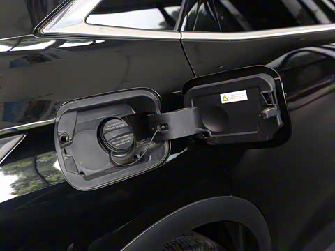 2020�� 45THP �˶���