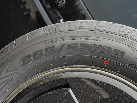 2025�� ����Ǭ���Ǽݰ�