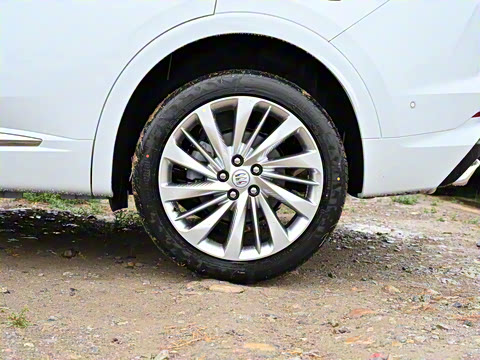 2025�� ������Plus ����Avenir��ά��