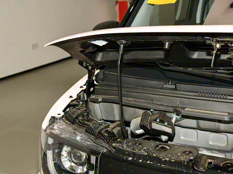 2025�� 205km ʥ����