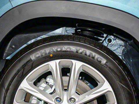 2021�� 2.0L �ֶ�������