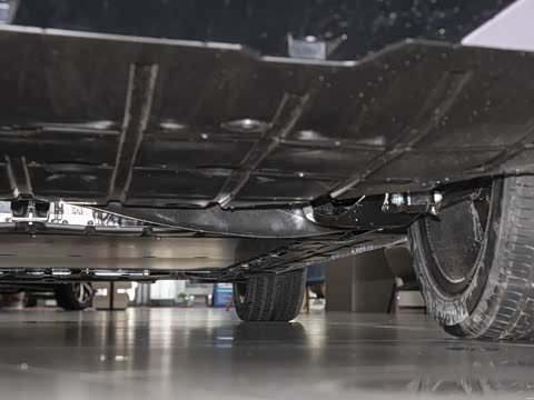 2025�� 450km ������