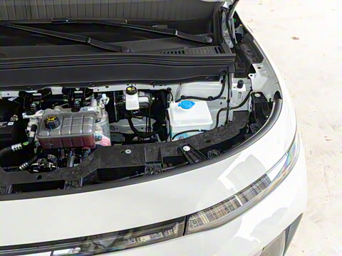 2025�� 600������