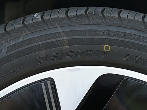 2025�� 600 �������� Max