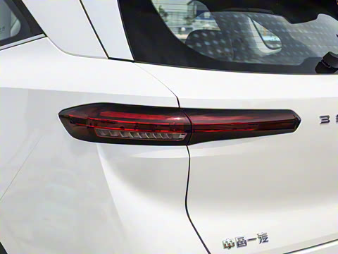 2025�� 565km ������