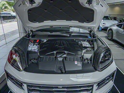 2025�� Cayenne 3.0T ���ΰ�