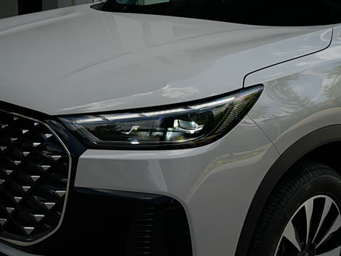 2025�� 290TGDI DCT�˷�� 7��