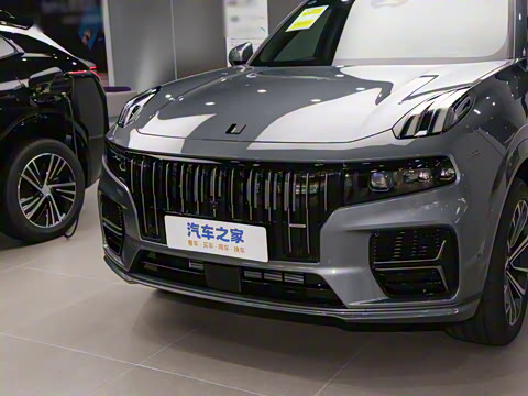 2025�� 2.0TD EM-P ����Max ����