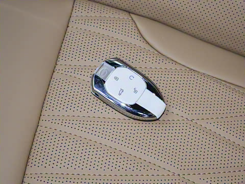 2024�� PHEV 143km Pro