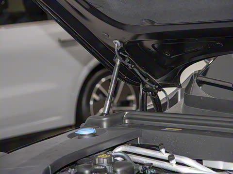 2025�� Max ���ܻ��°�