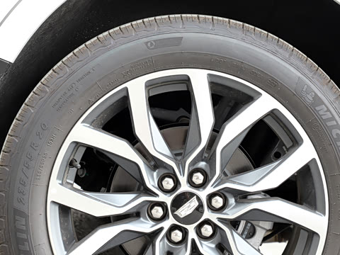 2021�� 28T ���������˶���