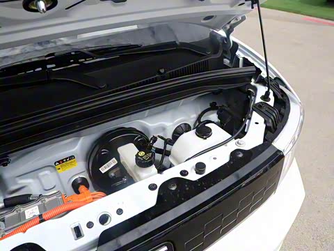 2020�� ���ڿ� �������