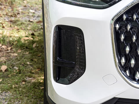 2025�� 2.0T ��������� 7��