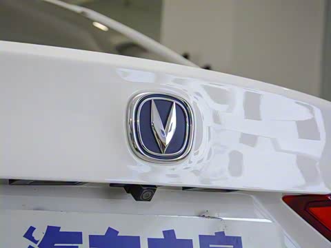 2019�� 1.5L DCT������ ��VI