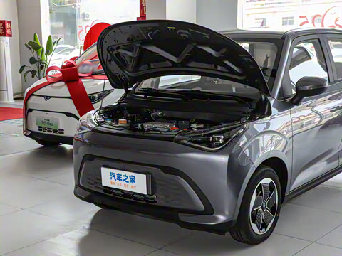 2026�� Mate 305km ����̤�˰�