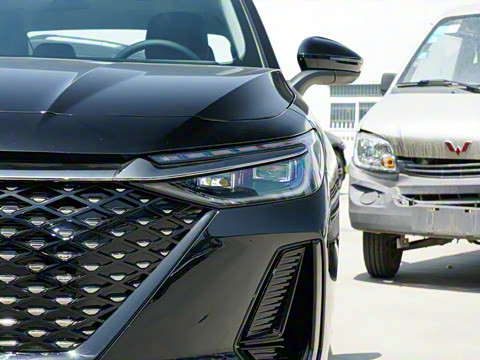 2025�� 145km ������