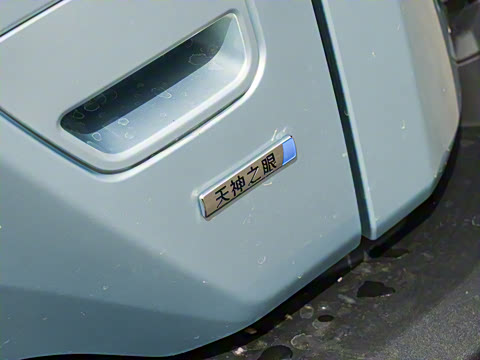 2025�� 501KM ����Max��