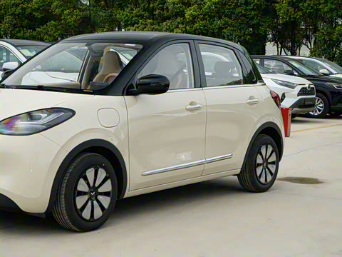 2025�� 333km ������