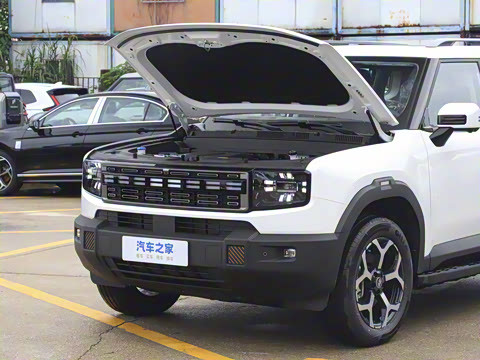 2025�� 226km ��Խ