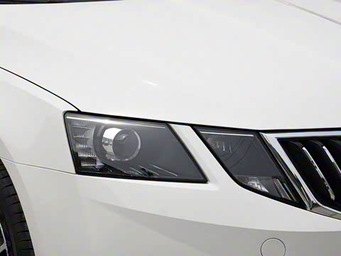 2019�� TSI230 DSG���к����� ��VI