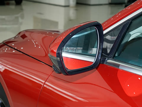 2024�� 555������