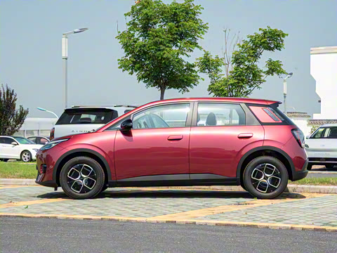 2025�� 330��ҫ��