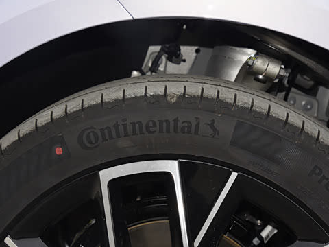 2025�� Max�����