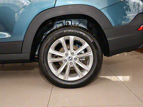 2021�� 2.0L �ֶ�������