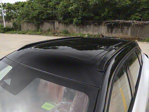 2025�� 205��������������