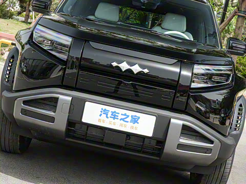 2025�� 501KM ����Max��