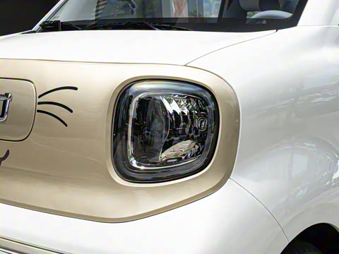 2025�� 222km �鶯��