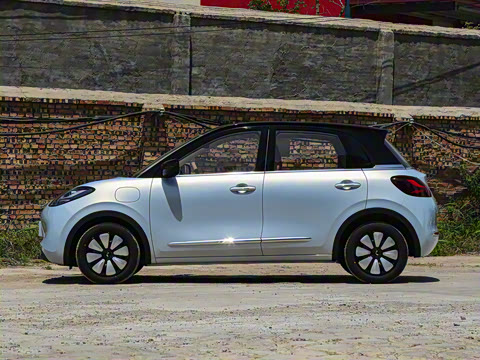 2025�� 333km ������