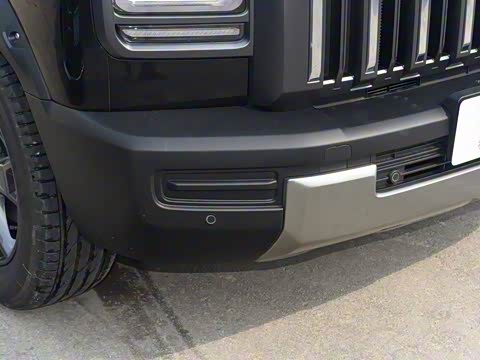 2025�� 2.0T 4WD Pro