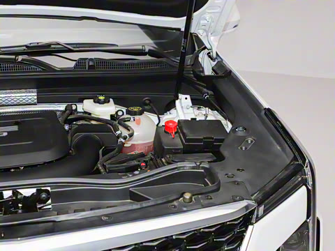 2024�� �Ŀ� 28T ����������