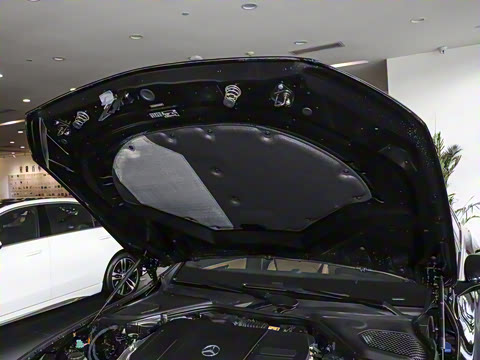 2024�� E 350 e L ���ʽ��϶����˶��γ�