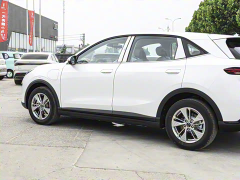 2025�� 565km ������