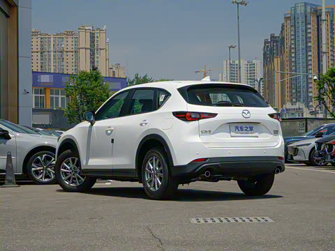 2025�� 2.0L �Զ���������Pro