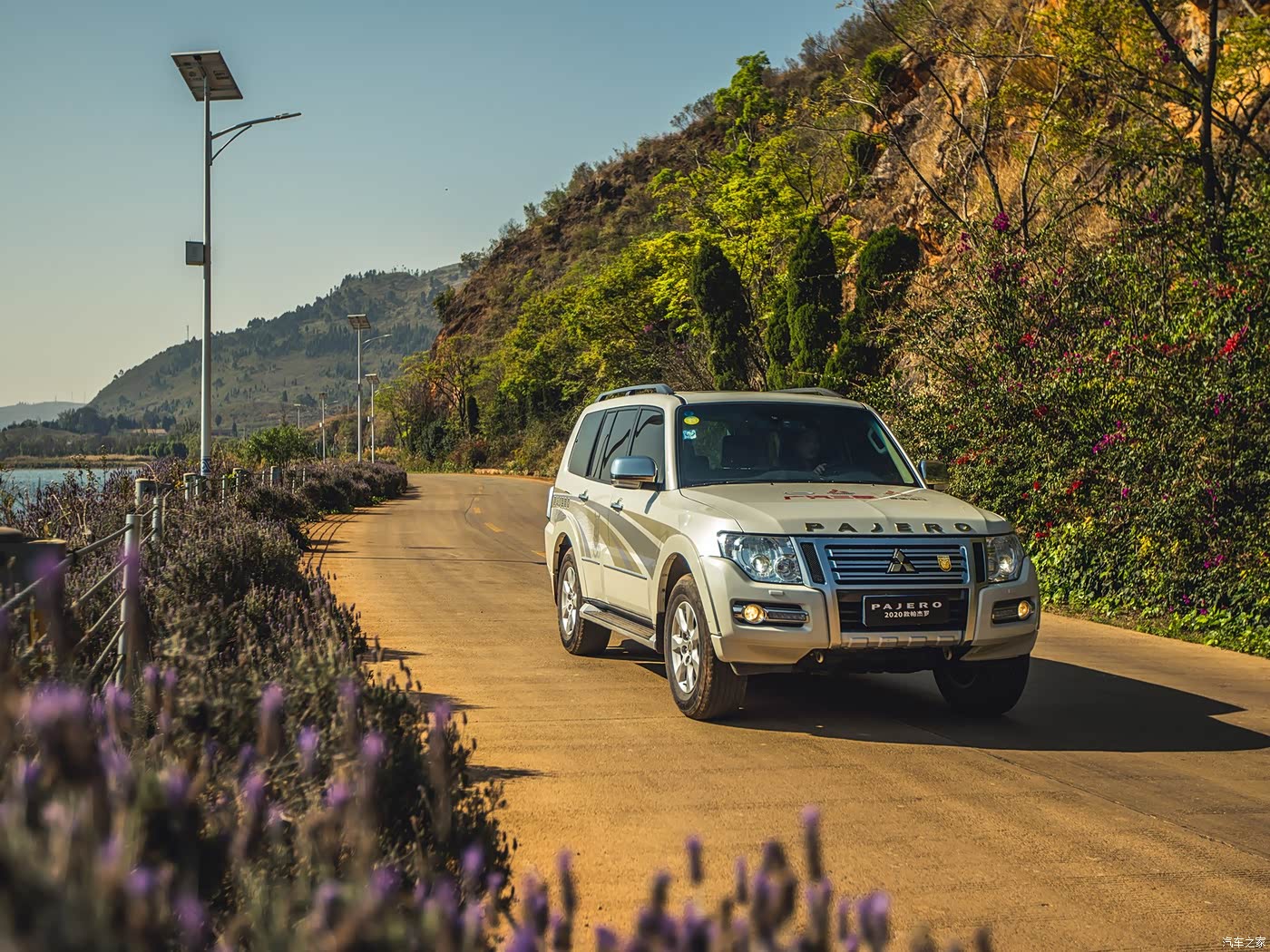 2020款30l自动尊贵版