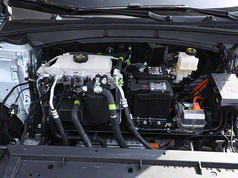 2025�� 450km ������