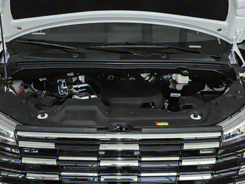 2025�� MAX 2.0T �Զ������� ���� 7��