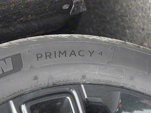 2024�� ���������Ǽݰ�