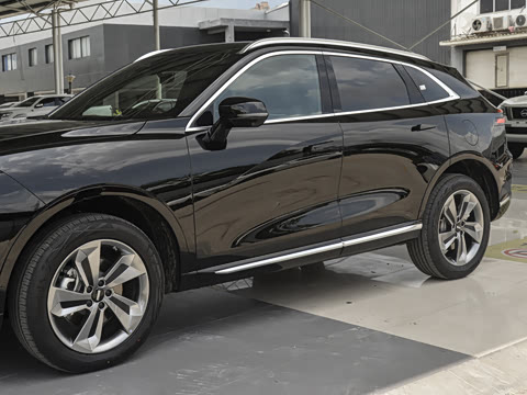 2023�� ������������